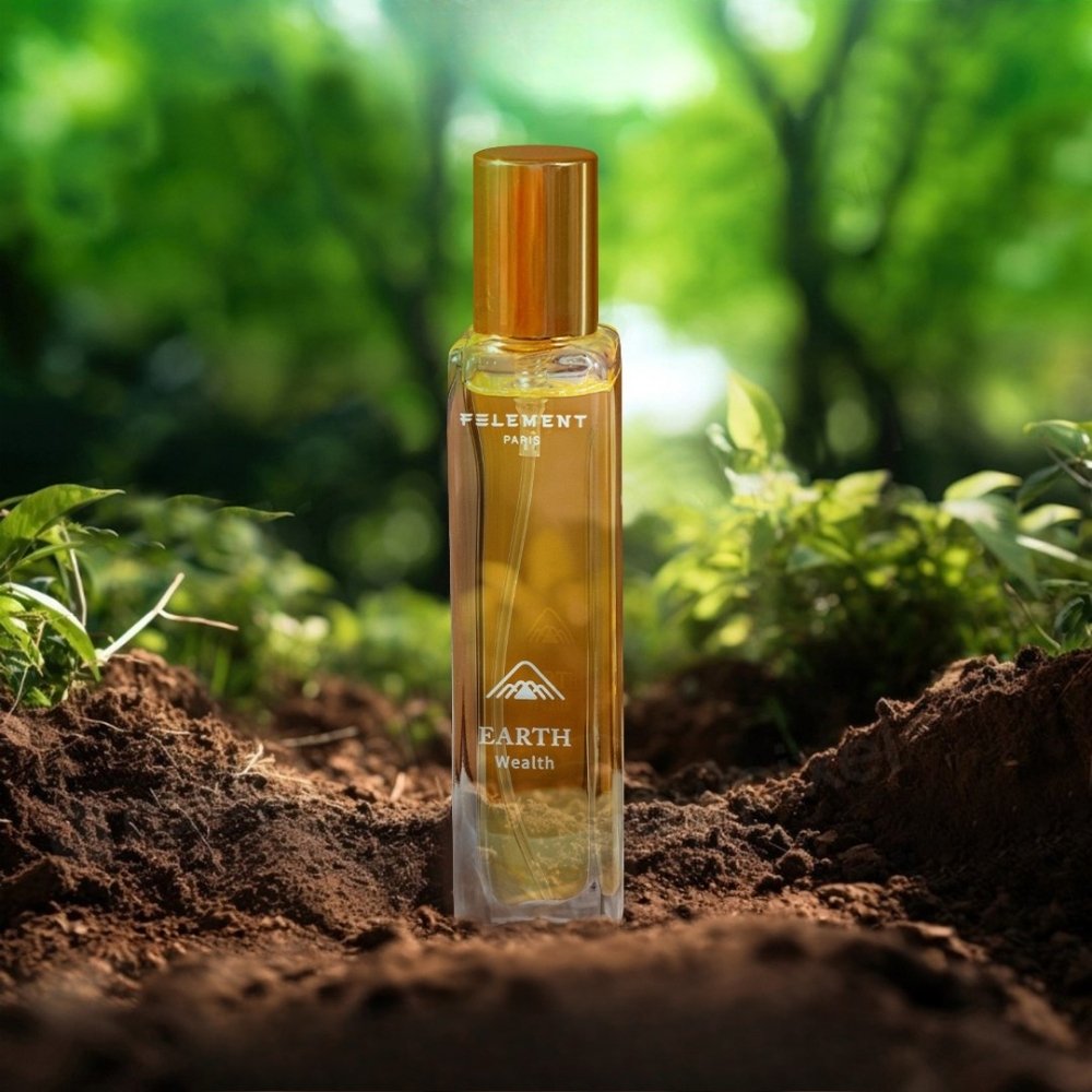 Earth Felement Carousel