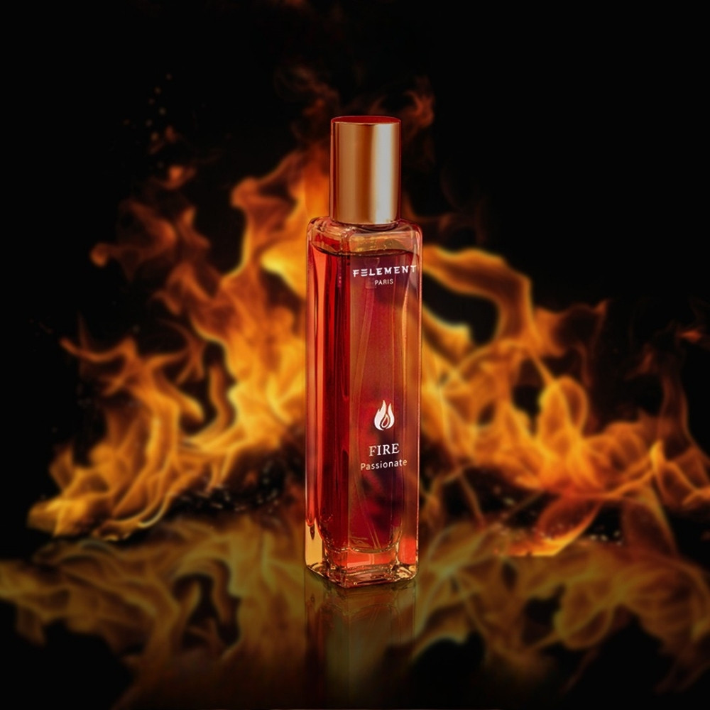 Fire Felement Carousel