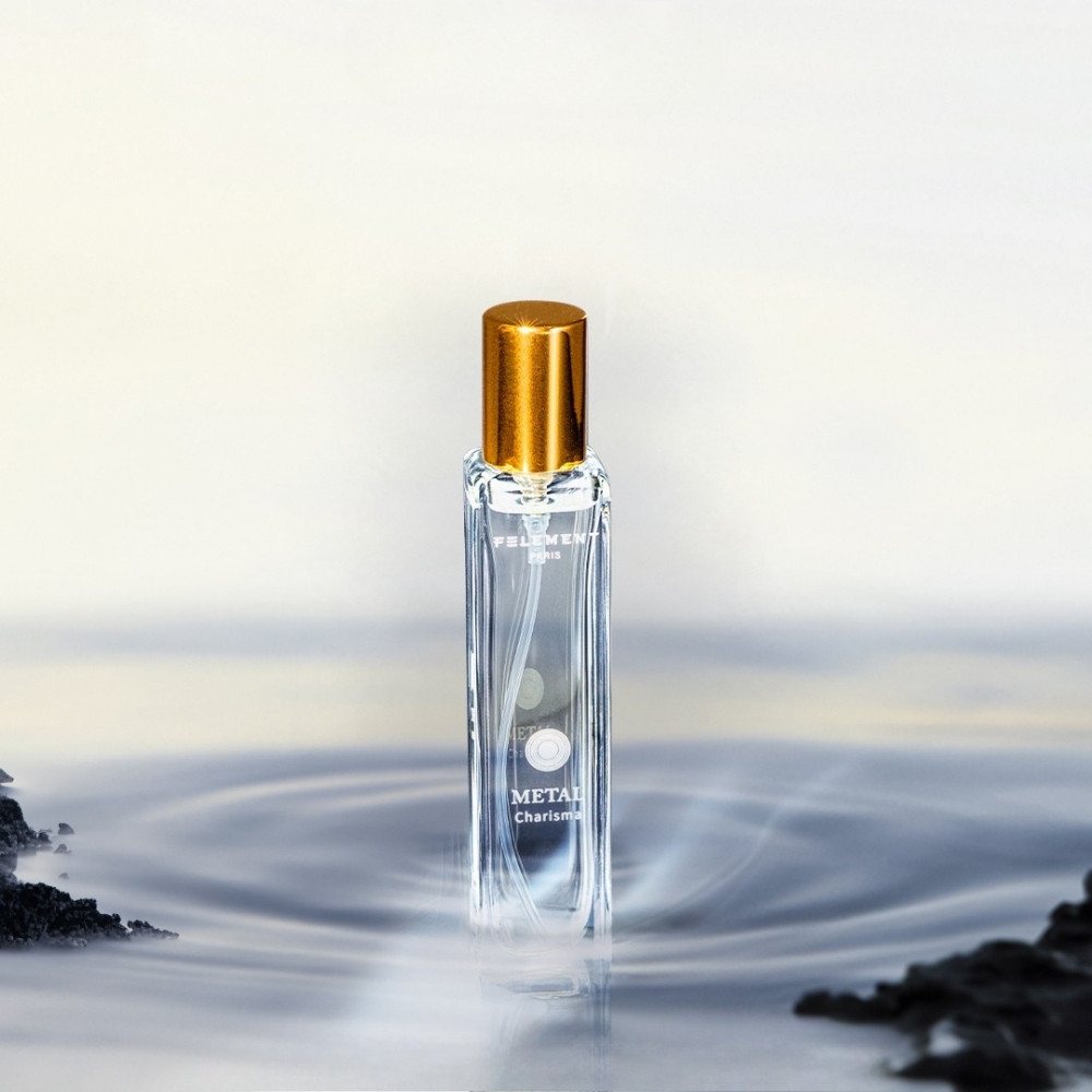 Metal Felement Carousel